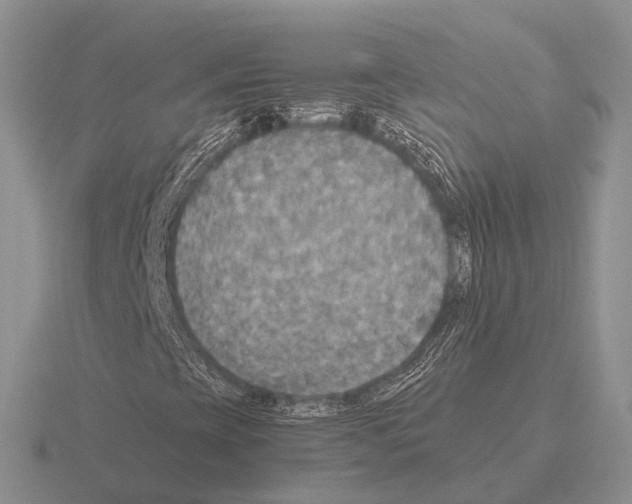 X0000115441393200912161445