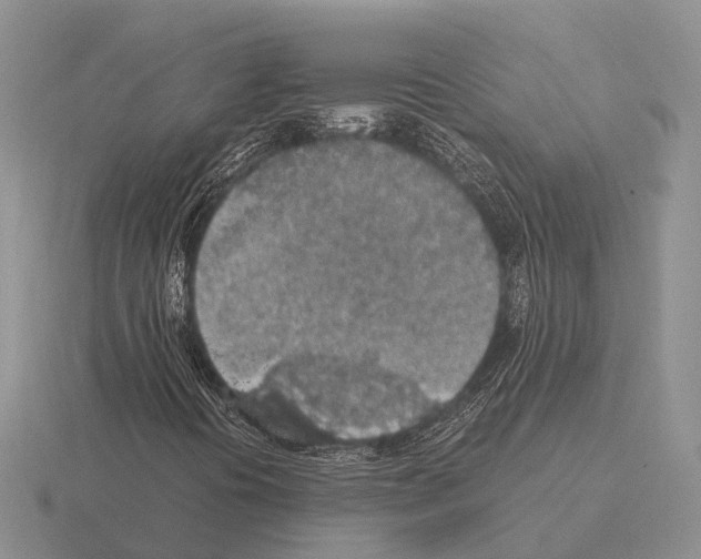 X0000115441394200912161445