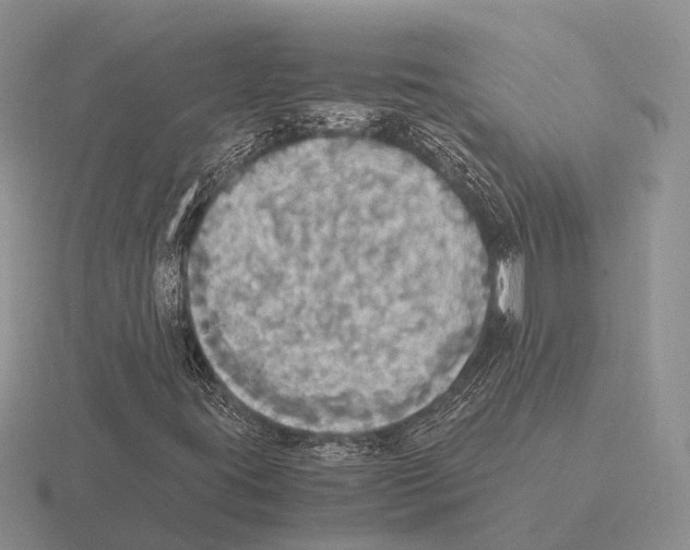 X0000115441395200912161445