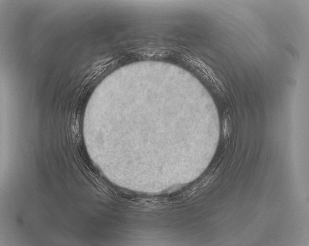 X0000115441396200912161445