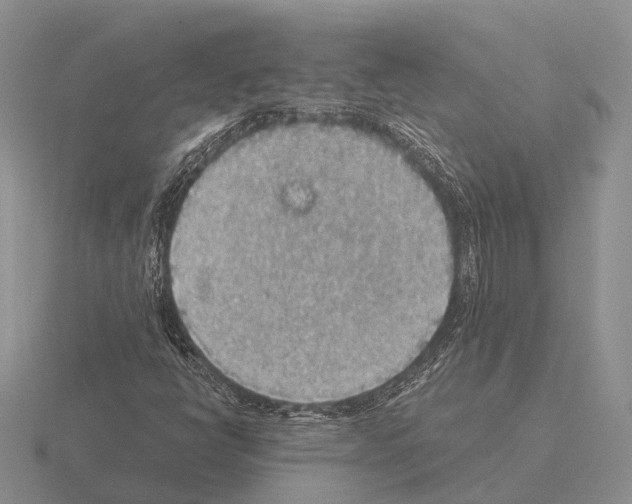 X0000115441398200912161445