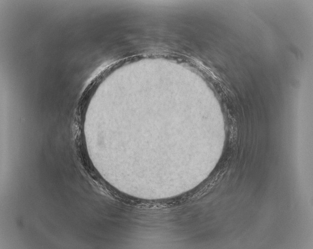 X0000115441400200912161445