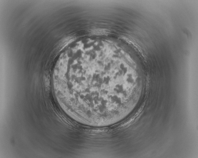 X0000115441401200912161445