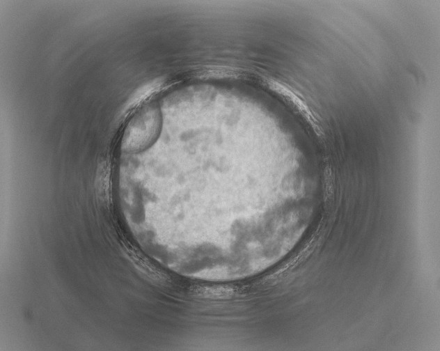 X0000115441403200912161445