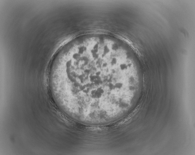 X0000115441405200912161445