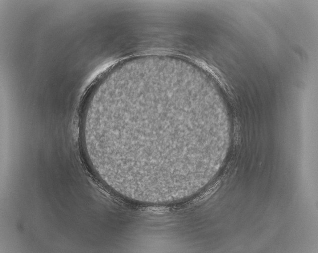 X0000115441406200912161445