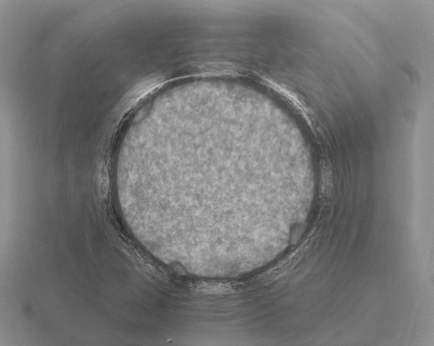 X0000115441407200912161445