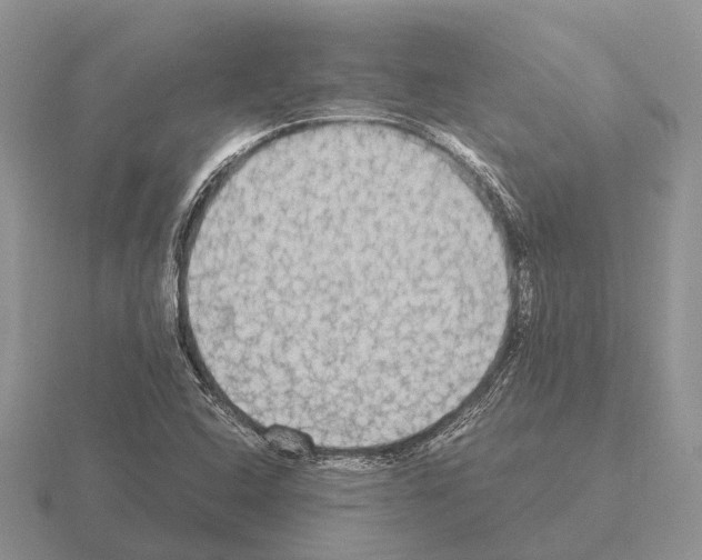 X0000115441408200912161445