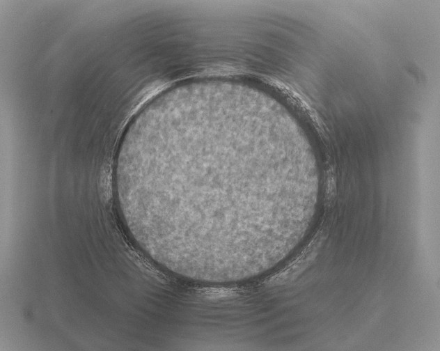 X0000115441409200912161445