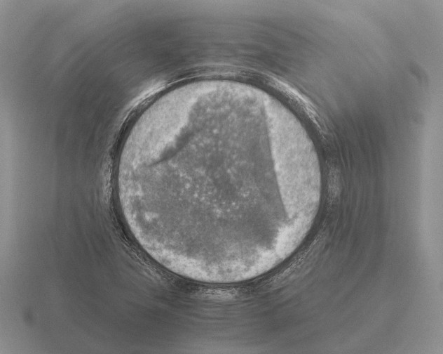 X0000115441411200912161445