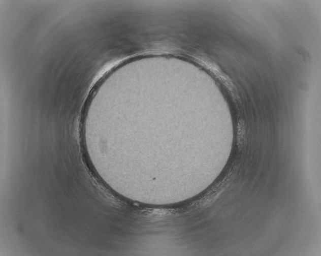 X0000115441412200912161445