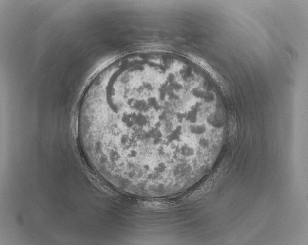 X0000115441413200912161445