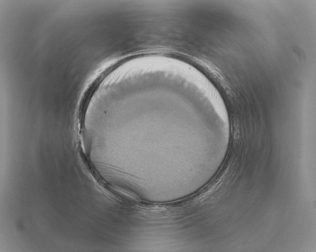 X0000115441414200912161445