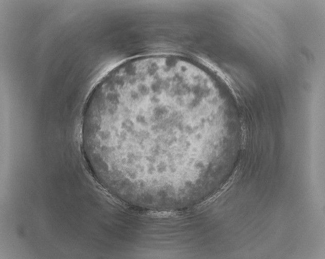 X0000115441415200912161445