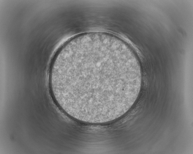 X0000115441416200912161445