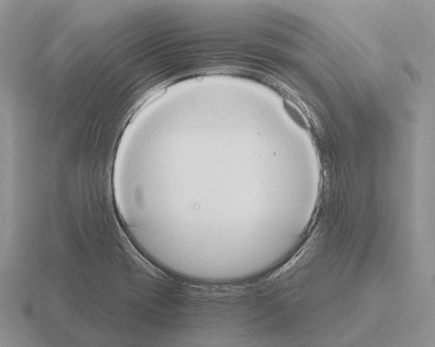 X0000115441417200912161445