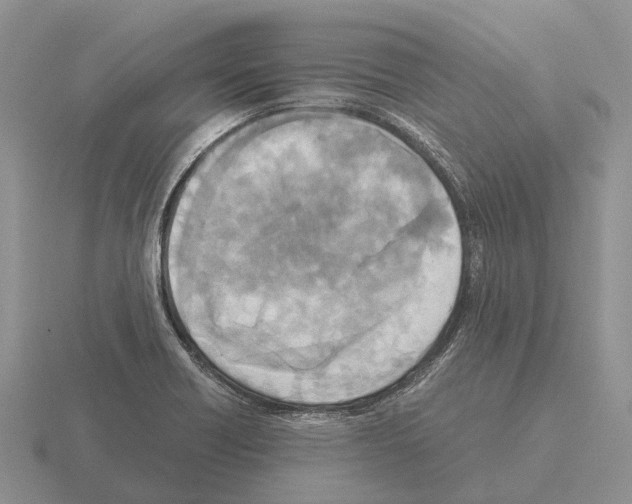 X0000115441418200912161445