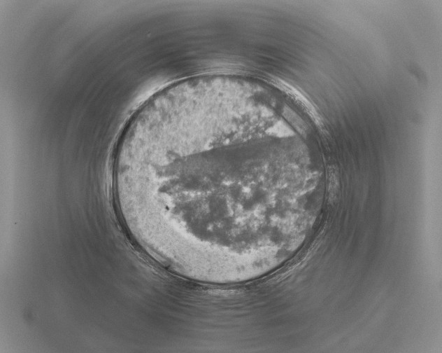 X0000115441419200912161445