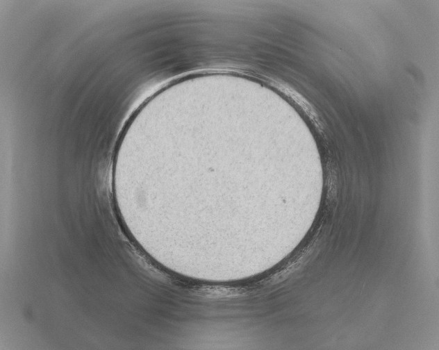 X0000115441420200912161445