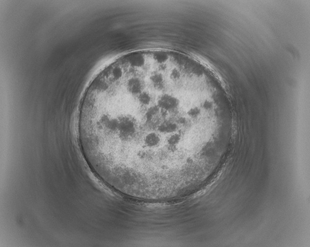 X0000115441421200912161445