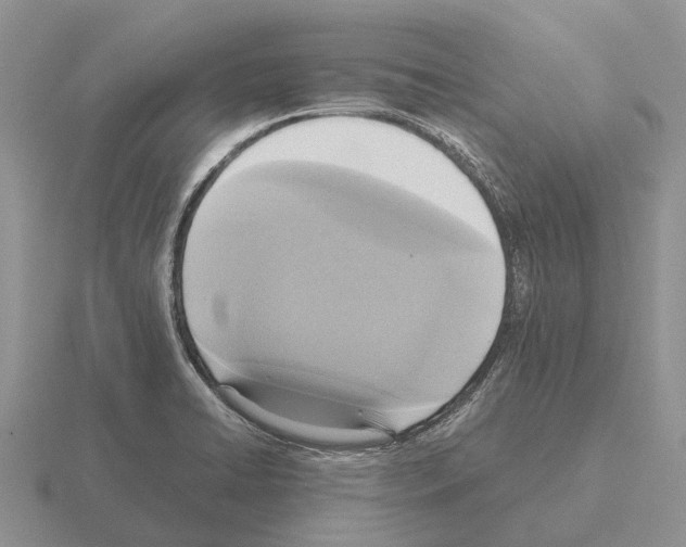 X0000115441422200912161445