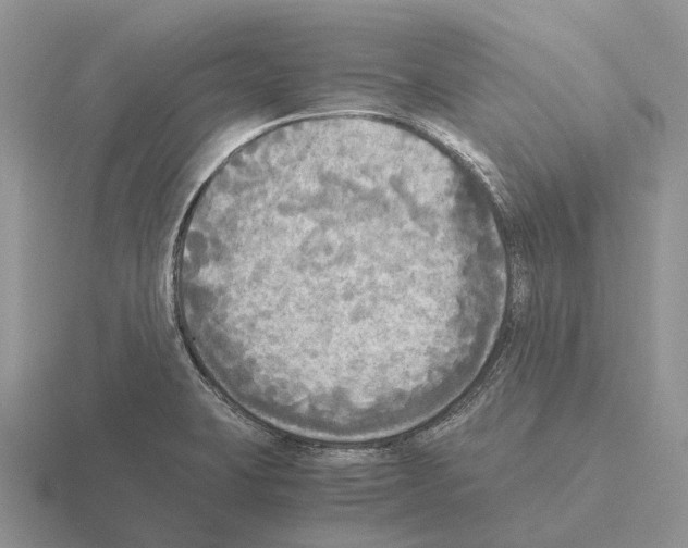 X0000115441423200912161445