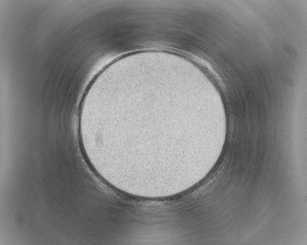 X0000115441424200912161445