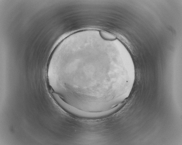 X0000115441428200912161445