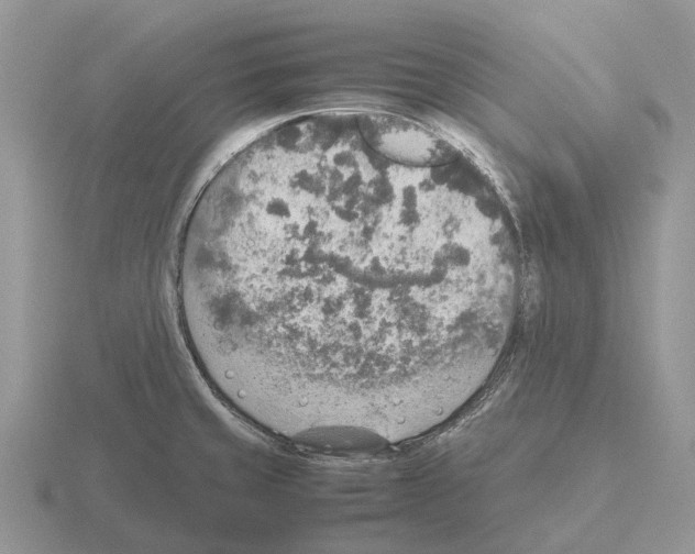 X0000115441429200912161445