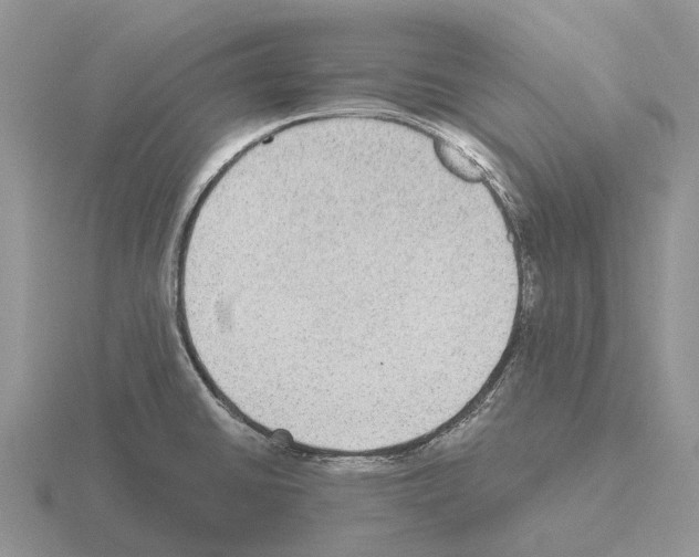 X0000115441430200912161445