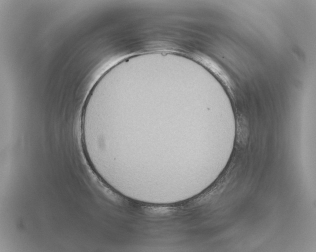 X0000115441431200912161445