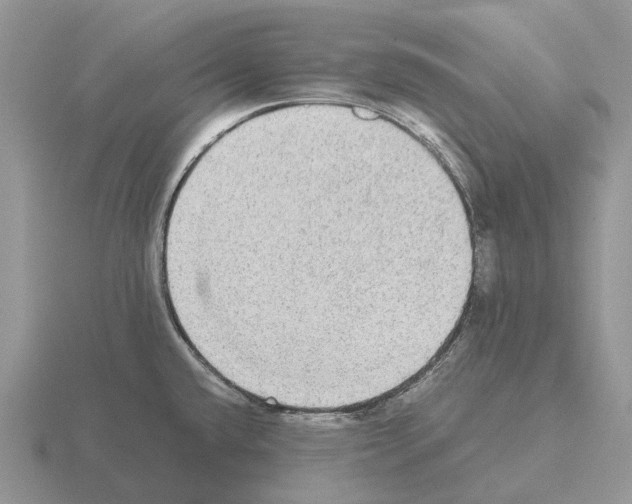 X0000115441432200912161445