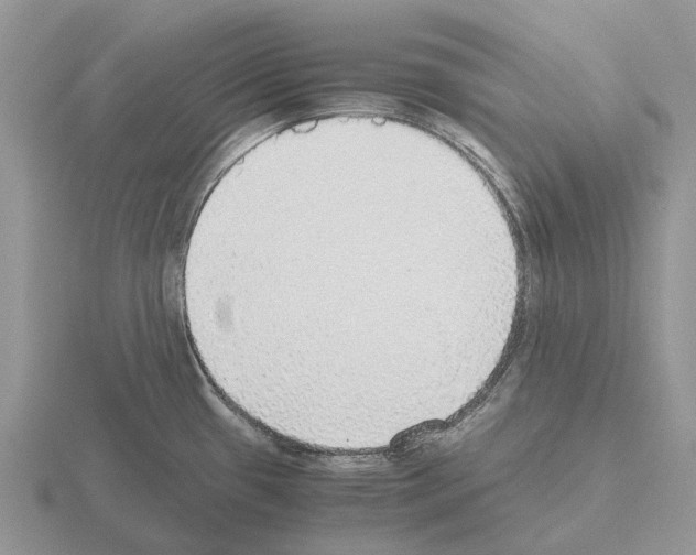 X0000115441433200912161445