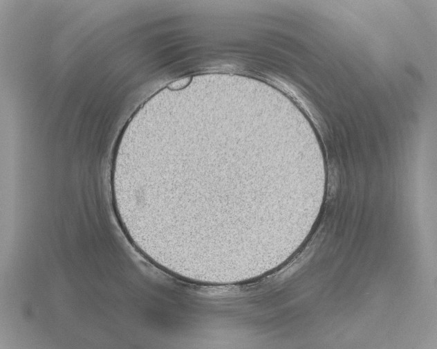 X0000115441434200912161445