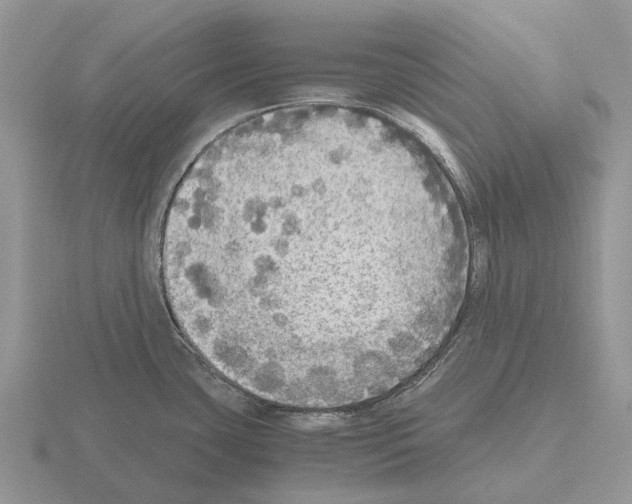 X0000115441435200912161445