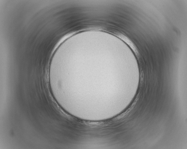 X0000115441436200912161445