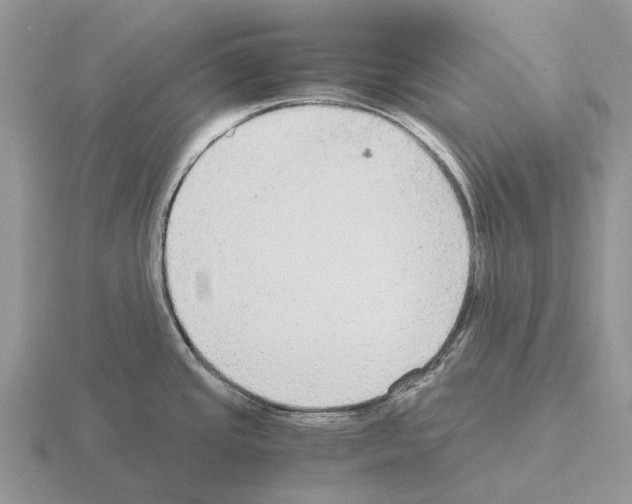 X0000115441437200912161445