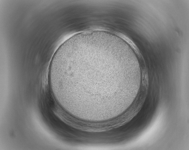 X0000115441439200912161445