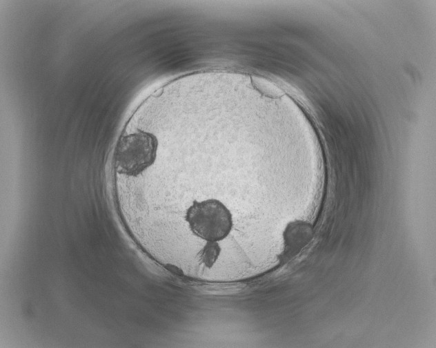 X0000115441440200912161445