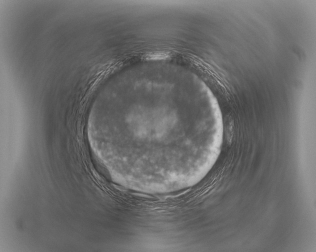 X0000115441441200912161445