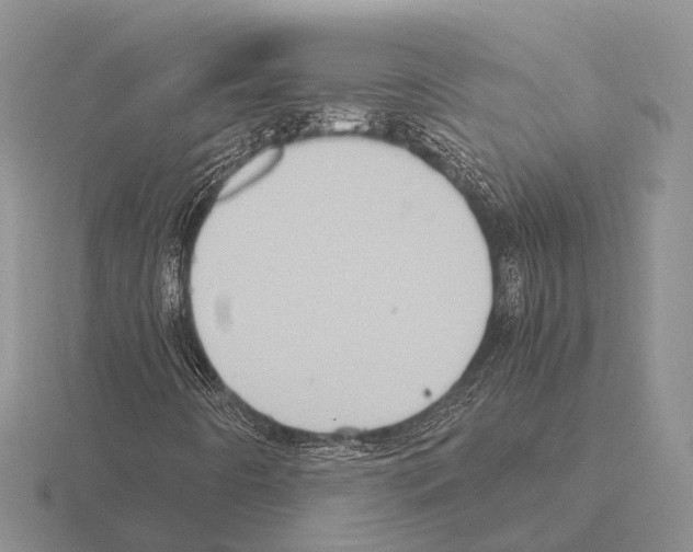 X0000115441442200912161445