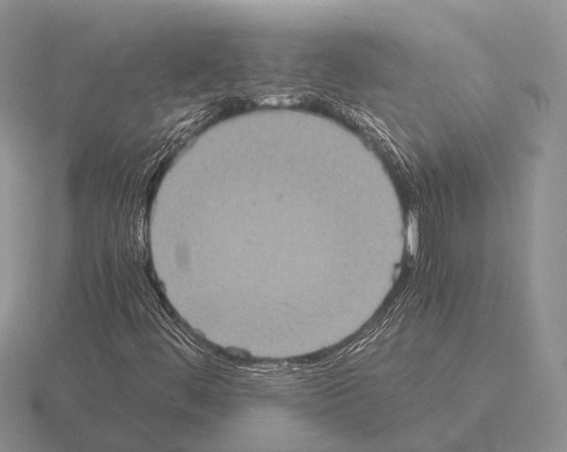 X0000115441444200912161445