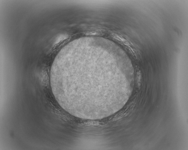 X0000115441446200912161445