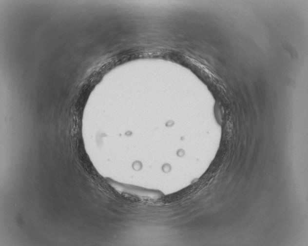 X0000115441447200912161444