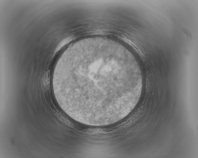 X0000115441450200912161444