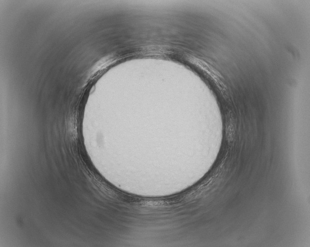 X0000115441451200912161444