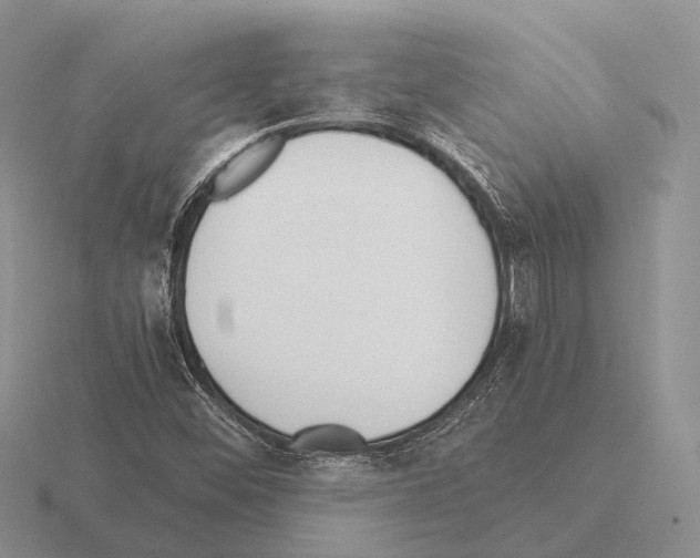 X0000115441452200912161444