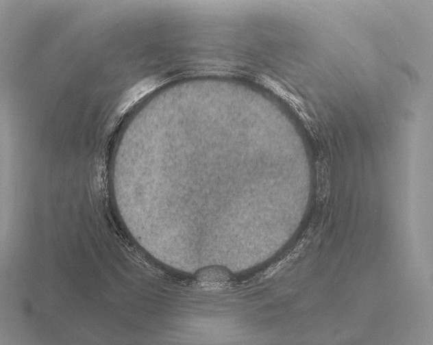 X0000115441453200912161444