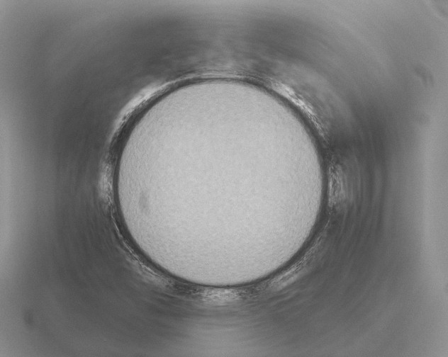 X0000115441454200912161444