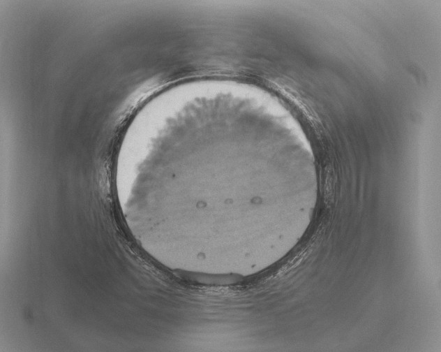 X0000115441455200912161444